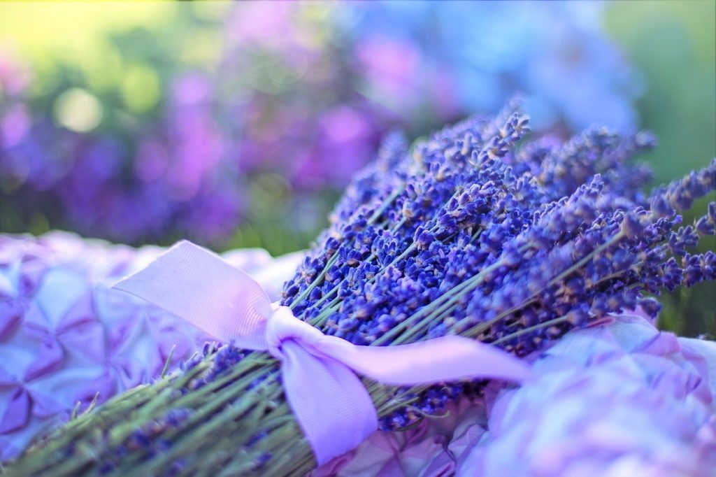 [Queen Of Herbs]The Flower Meaning Of Lavender